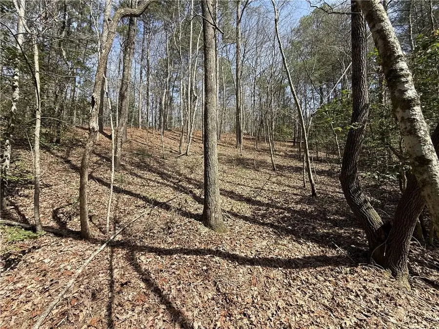 0 Bayou Drive, Ellijay, GA 30540 - #3