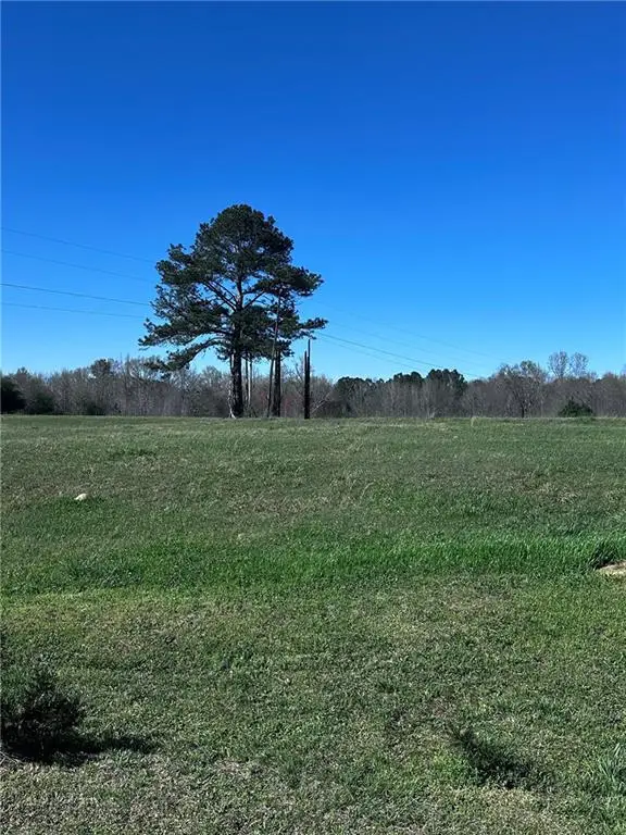 8395 Vernon Grove Road, Chattahoochee Hills, GA 30268 - #3