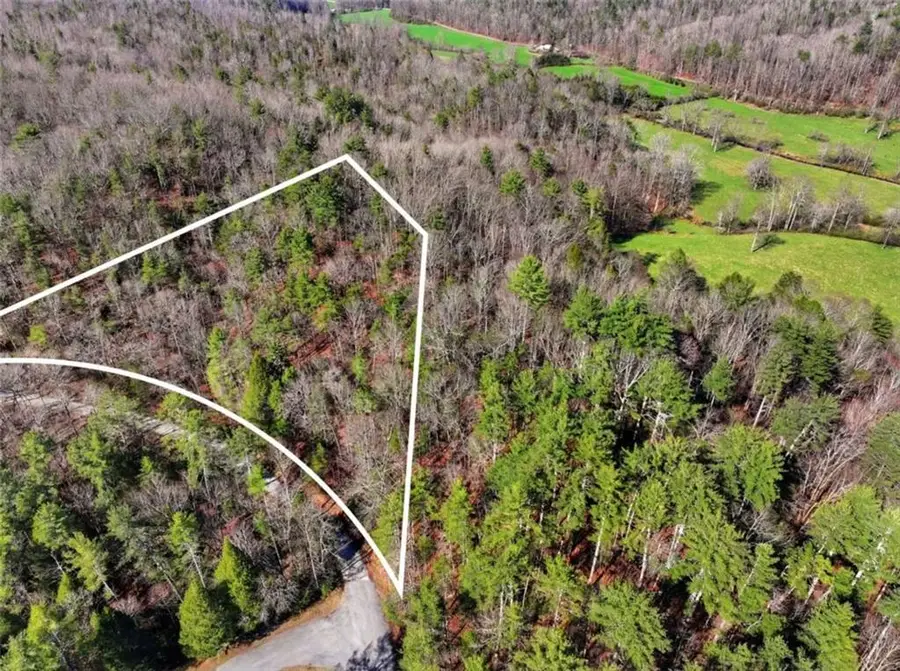 LOT 24 Pickett Mill Lane, Ellijay, GA 30540 - #3
