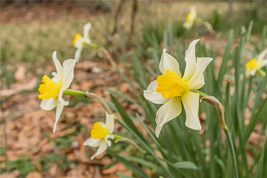 Address Withheld By Seller, East Point, GA 30344 - #2