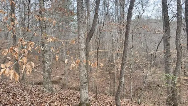 00Lot3 N Helton Road, Douglasville, GA 30135 - #3