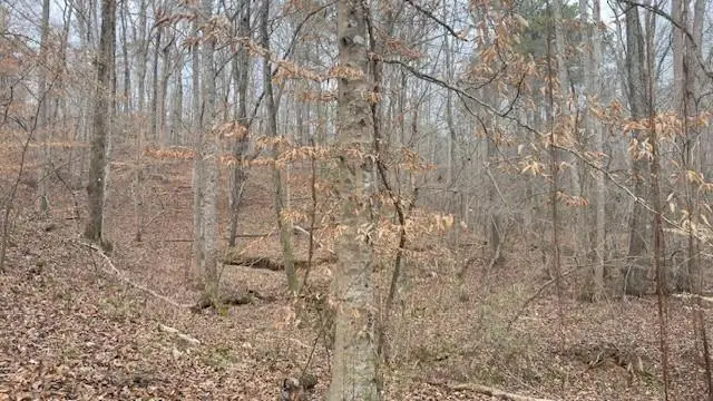 00Lot4 N Helton Road, Winston, GA 30187 - #2