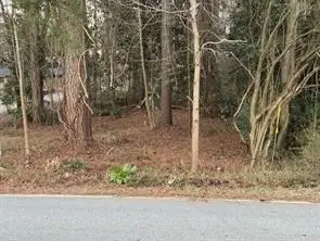 0 Yates Road, Land Lot #35, Atlanta, GA 30337 - #1