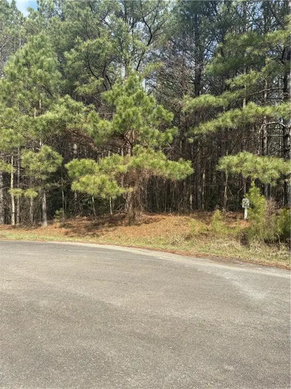 26 Foxpaw Leaf Lane, Ellijay, GA 30536 - #1