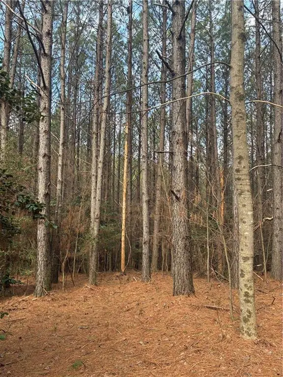 26 Foxpaw Leaf Lane, Ellijay, GA 30536 - #2