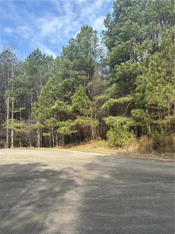 26 Foxpaw Leaf Lane, Ellijay, GA 30536 - #3