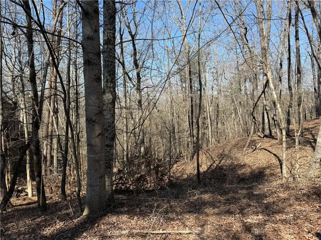 62 Miners Place, Dahlonega, GA 30533 - #1