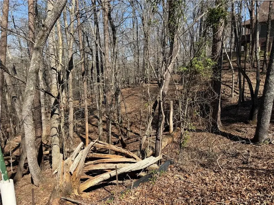 62 Miners Place, Dahlonega, GA 30533 - #2