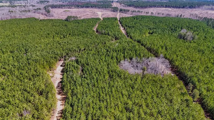 Lot 3 John Kay Road, Taylorsville, GA 30178 - #3