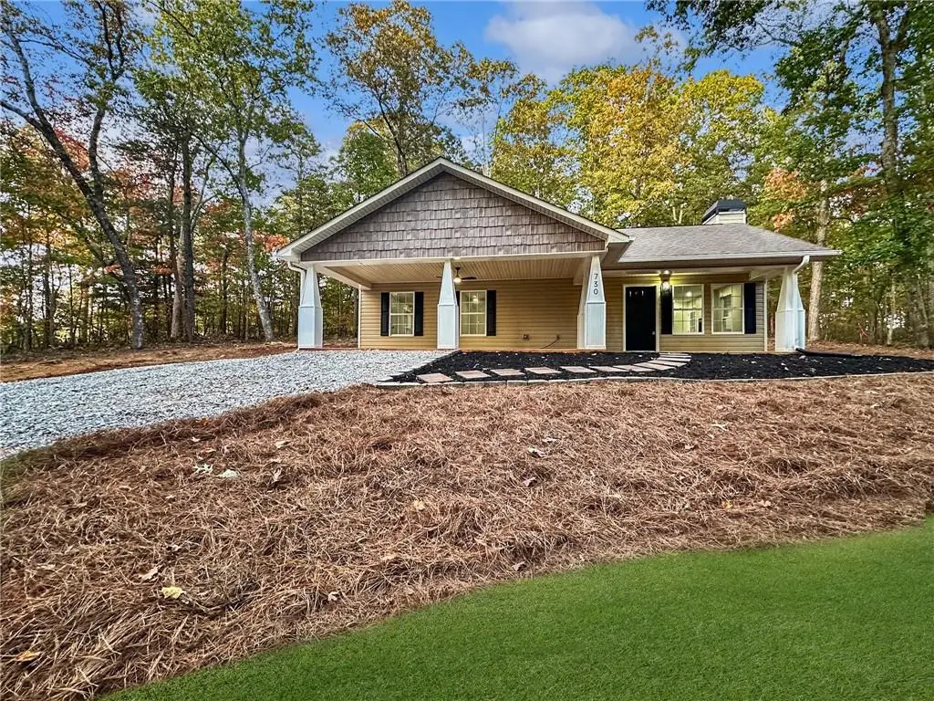 730 Carrie Cove Lane, Clarkesville, GA 30523 - #1