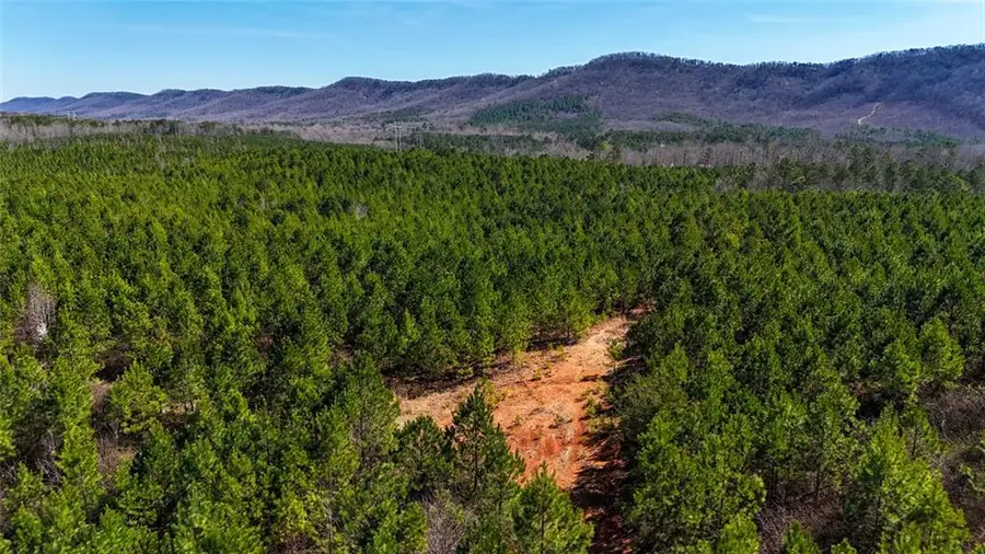 0 Highway 100, Summerville, GA 30747 - #2