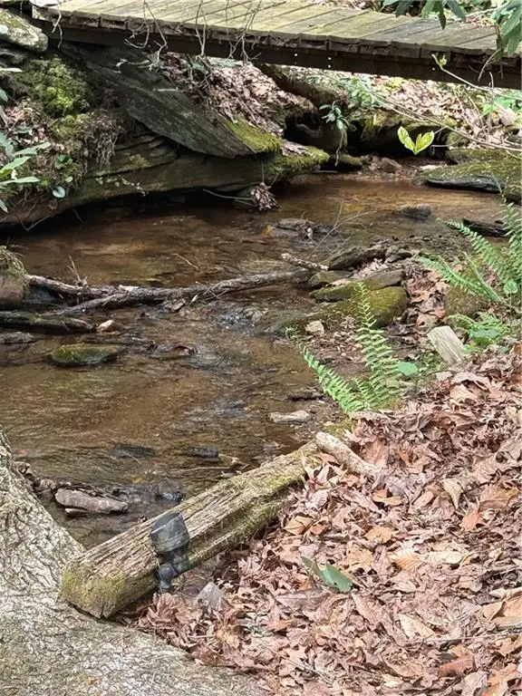 761 Clayton Gooch Road, Dahlonega, GA 30533 - #3