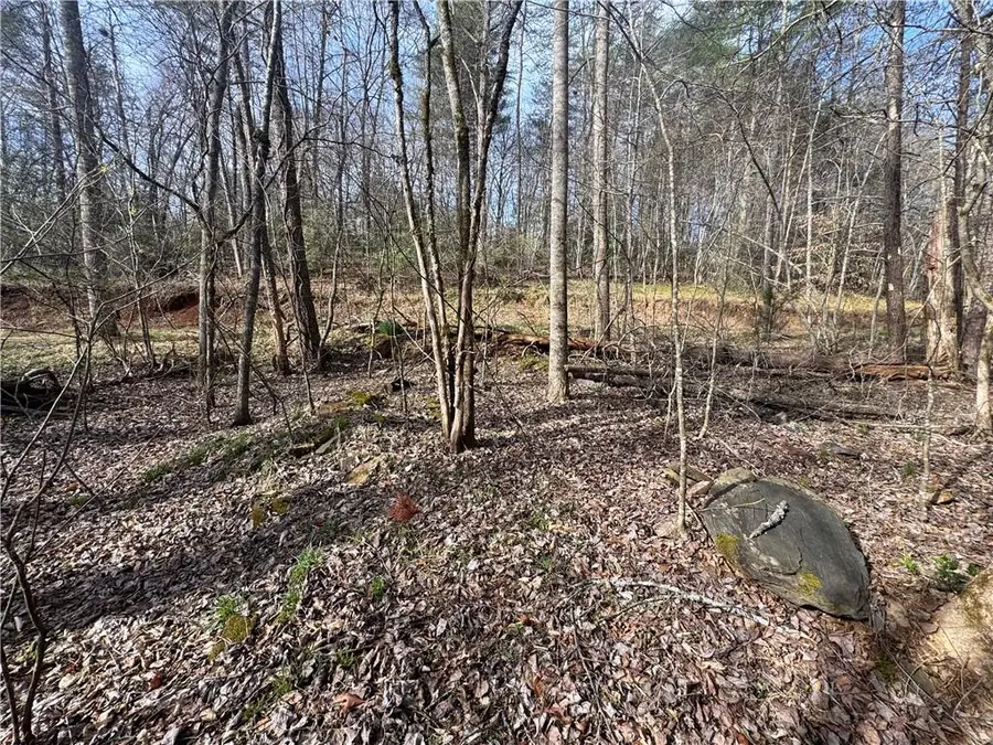 0 Hollybrook Road, Dahlonega, GA 30533 - #3