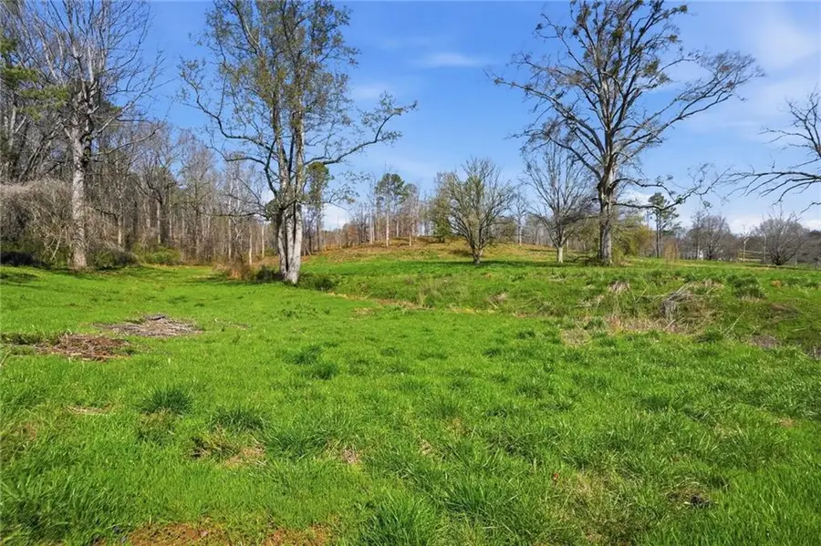 2201 Long Road, Ball Ground, GA 30107 - #3