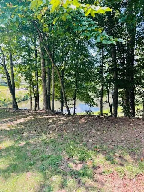 105 Hawks Court, Ball Ground, GA 30107 - #3