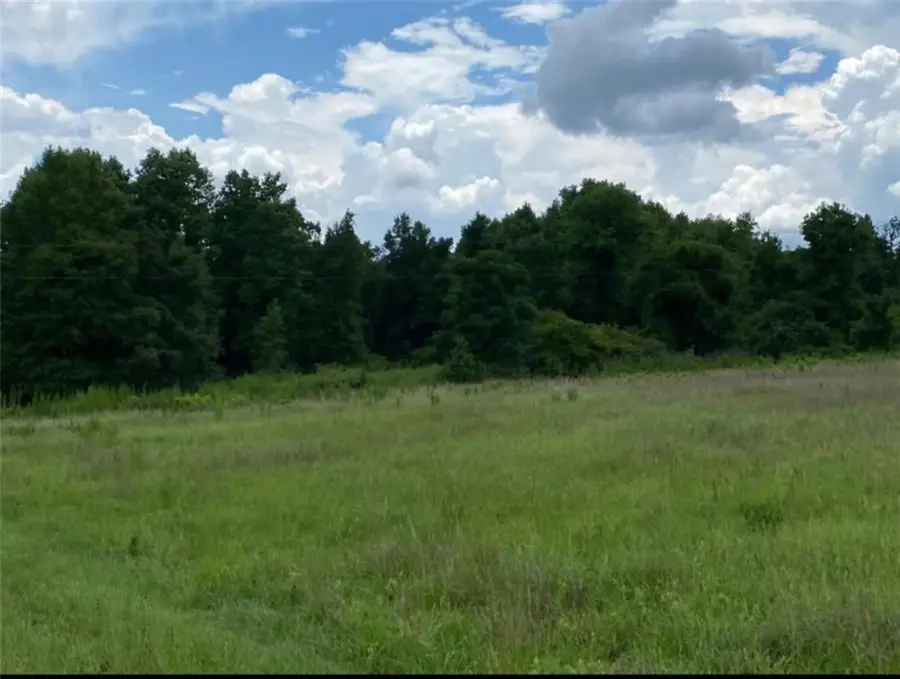 1220 State Route 49, Oglethorpe, GA 31068 - #3