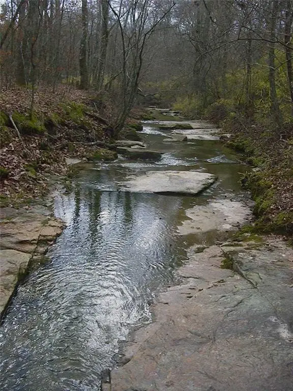 0000 Rabbit Farm Road, Loganville, GA 30052