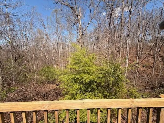 460 Cherokee Trail, Ball Ground, GA 30107 - #3