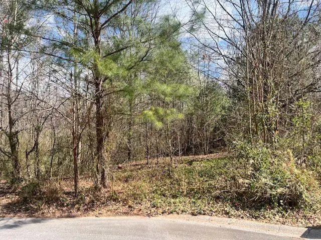 78 Heights Hollow, Acworth, GA 30101 - #1
