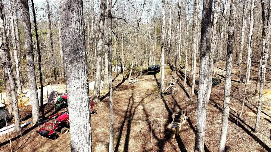 1125 Pecks Road, Dahlonega, GA 30533 - #3