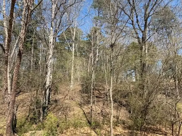 Lot 2 Jack Pittman Road, Dacula, GA 30019