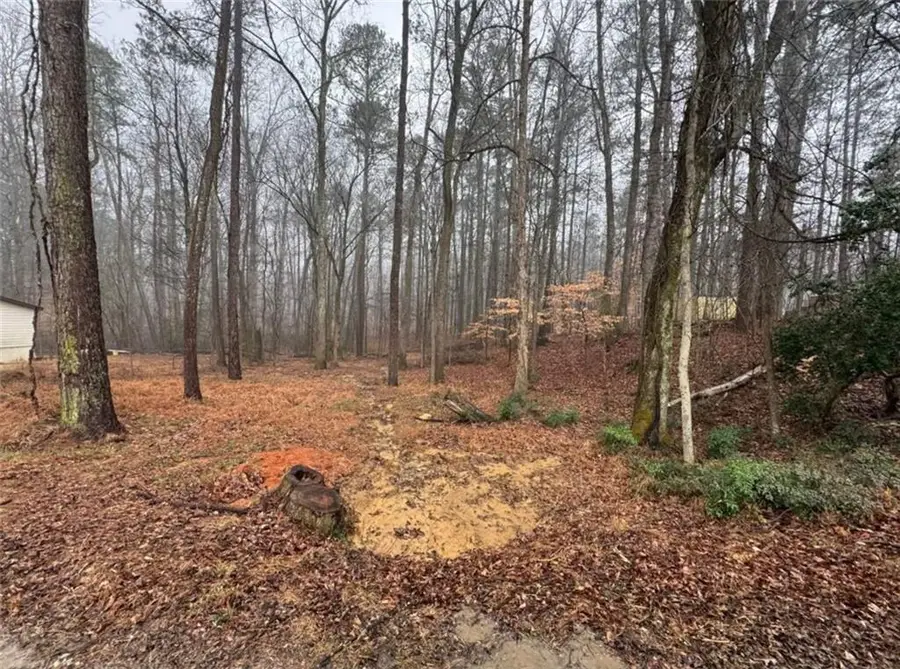 138 Oak Beach Drive Se, Acworth, GA 30101 - #2