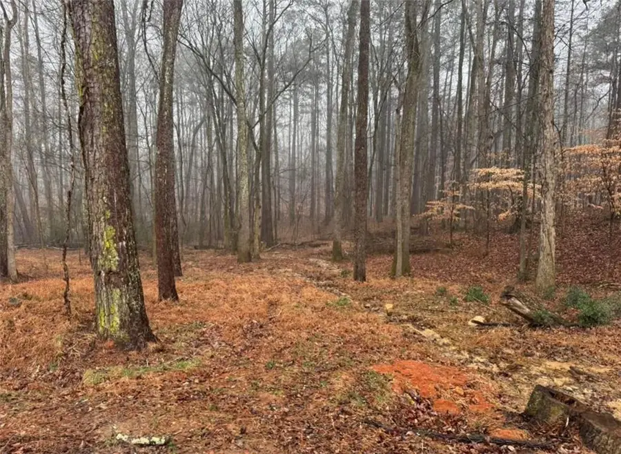 138 Oak Beach Drive Se, Acworth, GA 30101 - #3