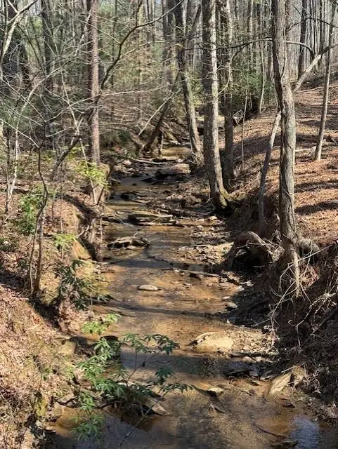 0 Timberline Trail, Talking Rock, GA 30175 - #2