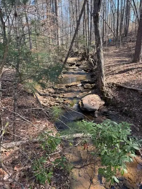 0 Timberline Trail, Talking Rock, GA 30175 - #3
