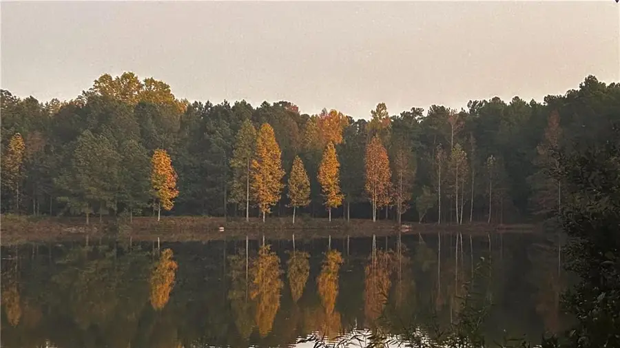 37 Farmstead Way, Senoia, GA 30276 - #2