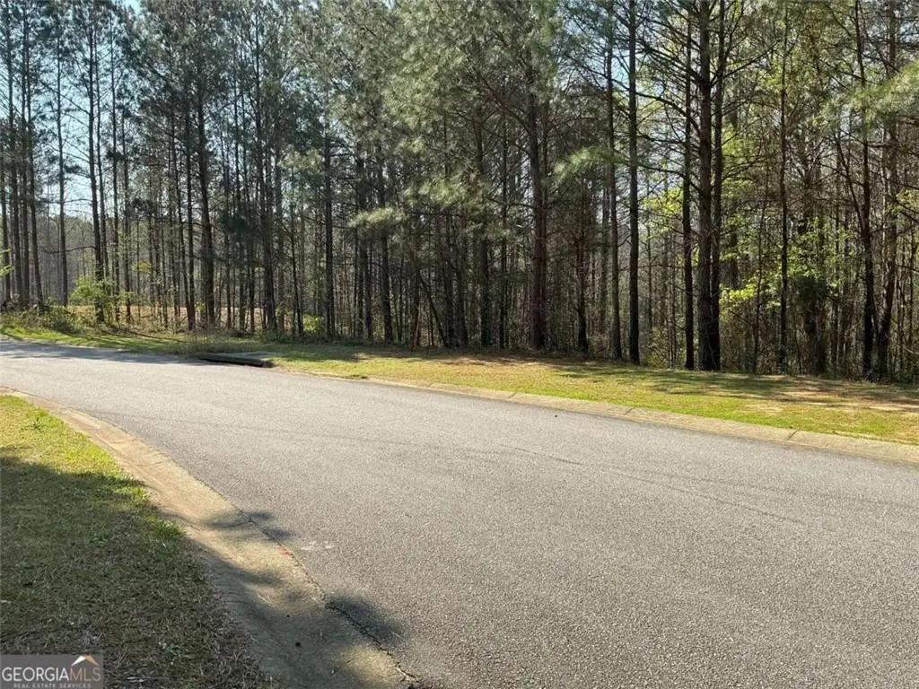 262 White Creek Loop, Rockmart, GA 30153 - #1