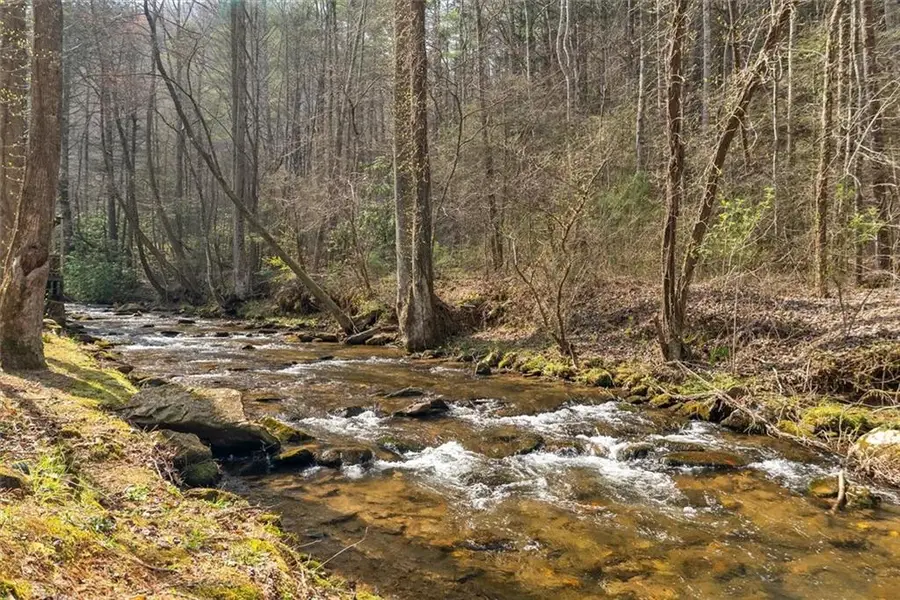 881 Fox Mountain Road, Cherry Log, GA 30522 - #3