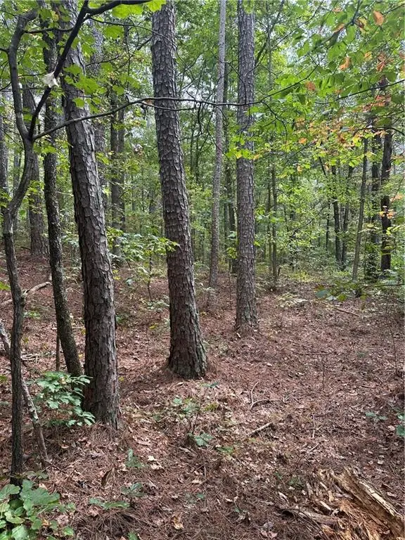 3842 Salacoa-tract A, Waleska, GA 30183 - #1
