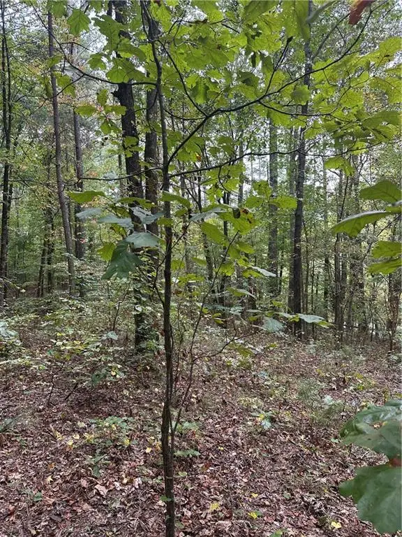 3842 Salacoa-tract A, Waleska, GA 30183 - #3