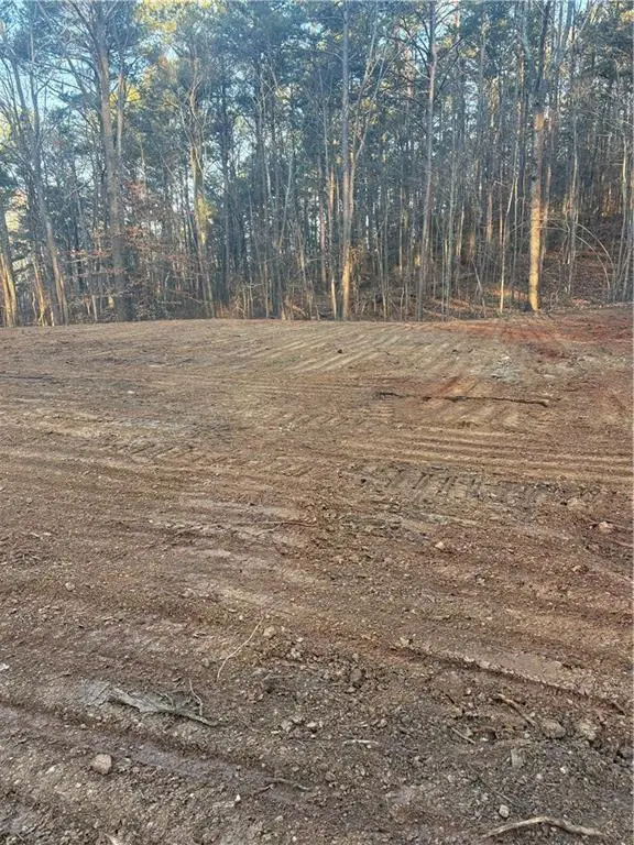 3834 Salacoa-tract B, Waleska, GA 30183 - #2