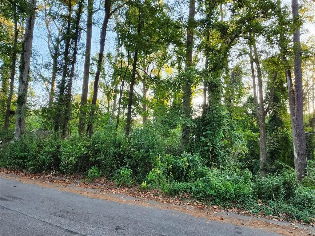 523 Spruce Drive, Pine Lake, GA 30072 - #1
