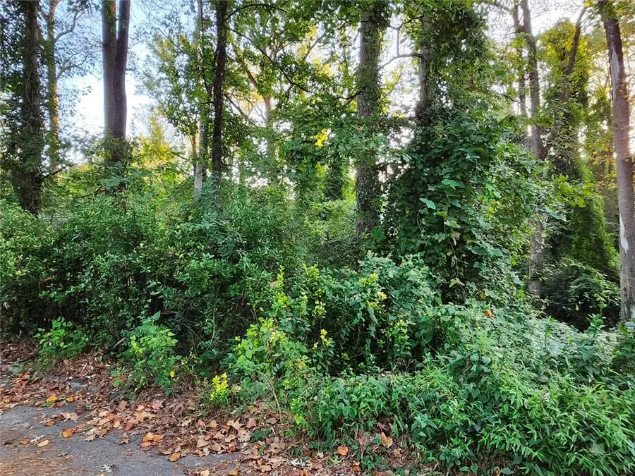 523 Spruce Drive, Pine Lake, GA 30072 - #3