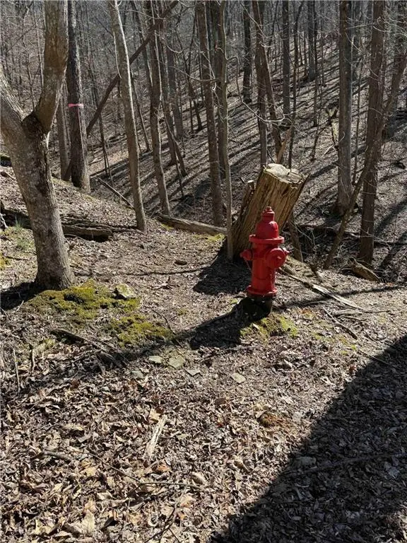 3366 Crippled Oak Trail, Jasper, GA 30143 - #2