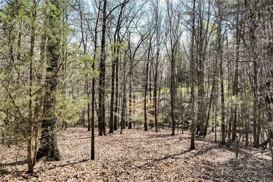 304 Point Olympus Drive, Gainesville, GA 30506 - #2