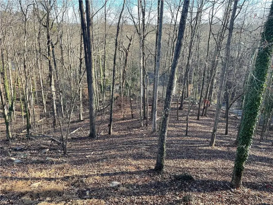 0 Lakeside Court, Gainesville, GA 30506 - #2