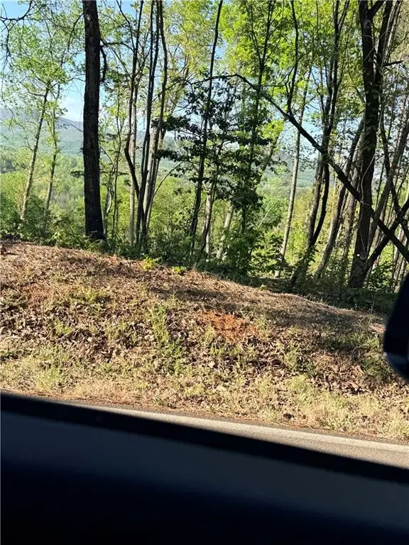 LOT 7B Pea Ridge Road, Ball Ground, GA 30107 - #3