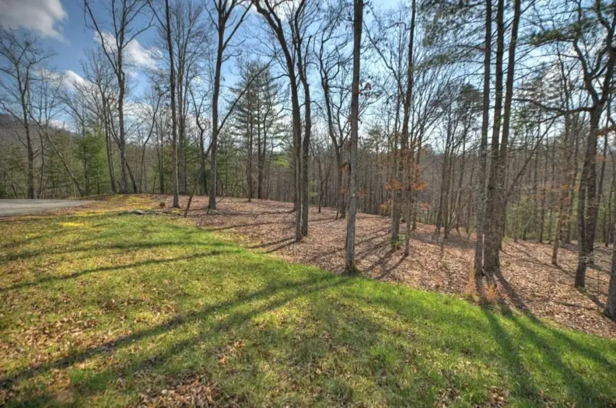 LT 13 Rocky Ridge, Mineral Bluff, GA 30559 - #3
