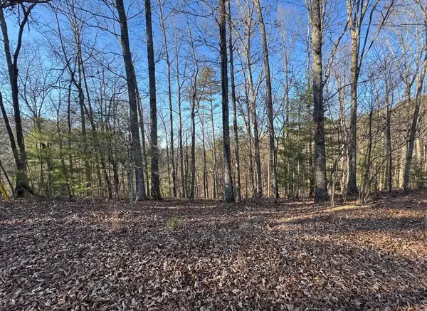0 Rebekah Ridge, Talking Rock, GA 30175