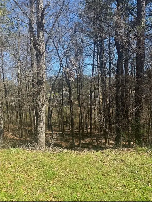 3740 Mountain Cove Road, Snellville, GA 30039 - #2