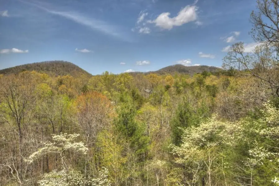 220 Lakota Lane, Mineral Bluff, GA 30559 - #2