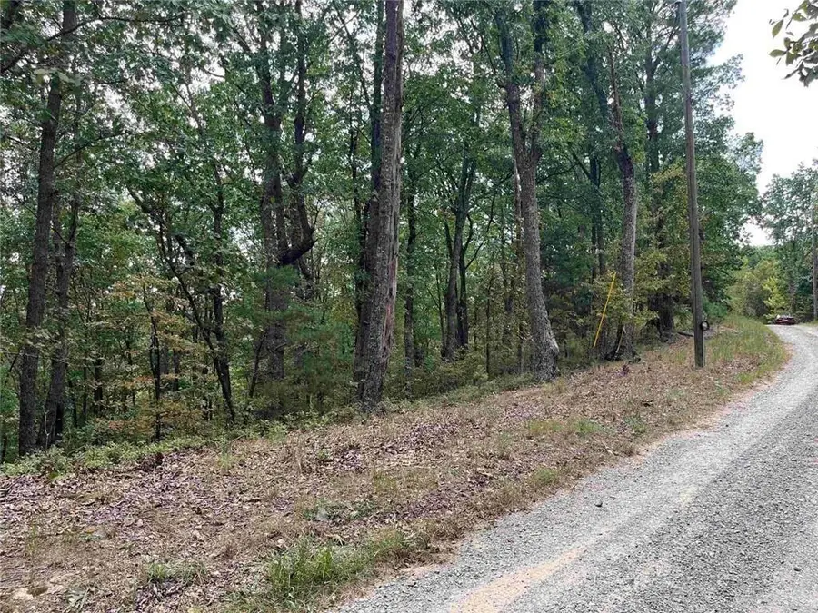 32 Antler Court, Ranger, GA 30734 - #2