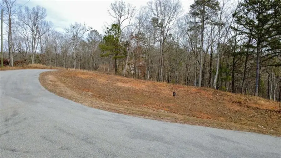 LOT 43 Bucktail Way, Talking Rock, GA 30175 - #3