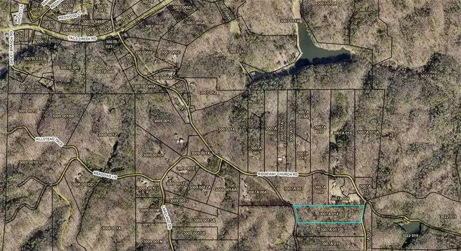 1302 Ridgeway Church Road, Ellijay, GA 30540 - #2