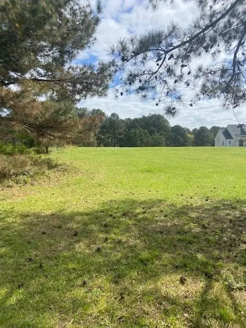 4A Horseshoe Road, Loganville, GA 30052 - #1