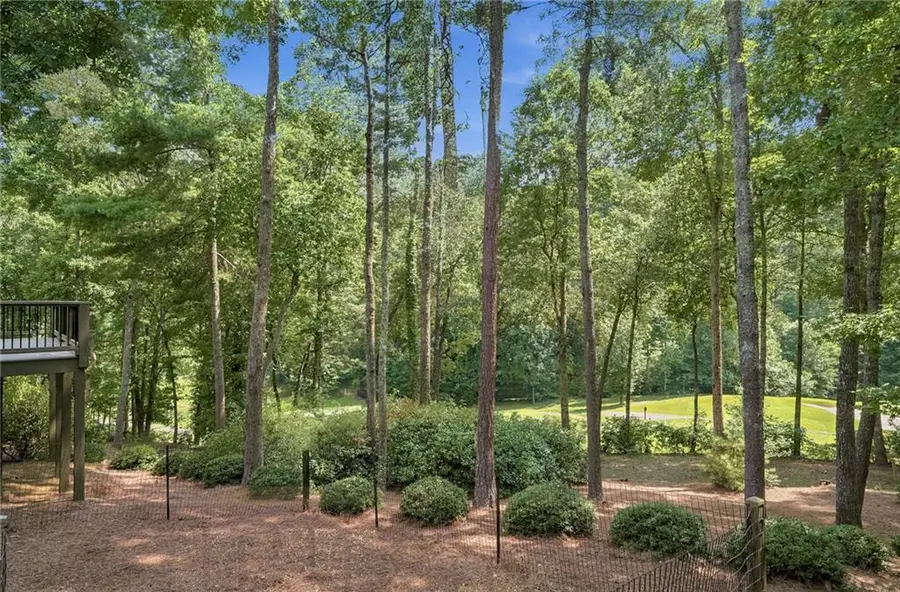 204 Sinti Trail, Big Canoe, GA 30143 - #3
